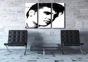 Kézzel festett vászonképek POP Art ELVIS  el  (POP ART képek)